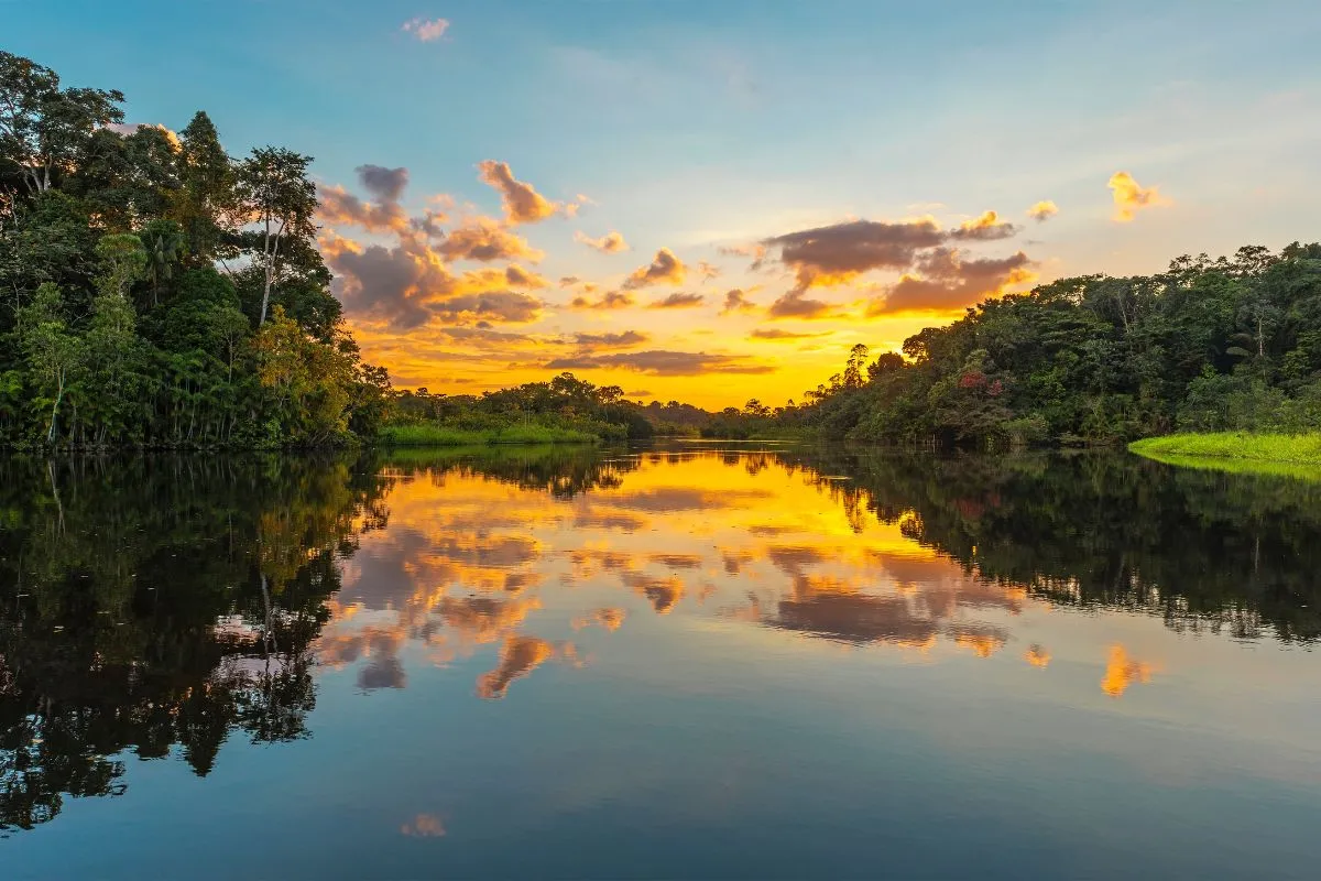 floresta-amazonica-5