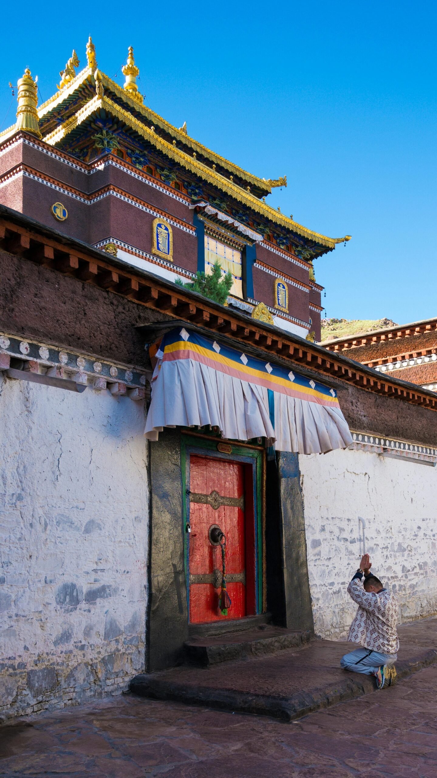 pexels-chao-xu-73724216-8509016