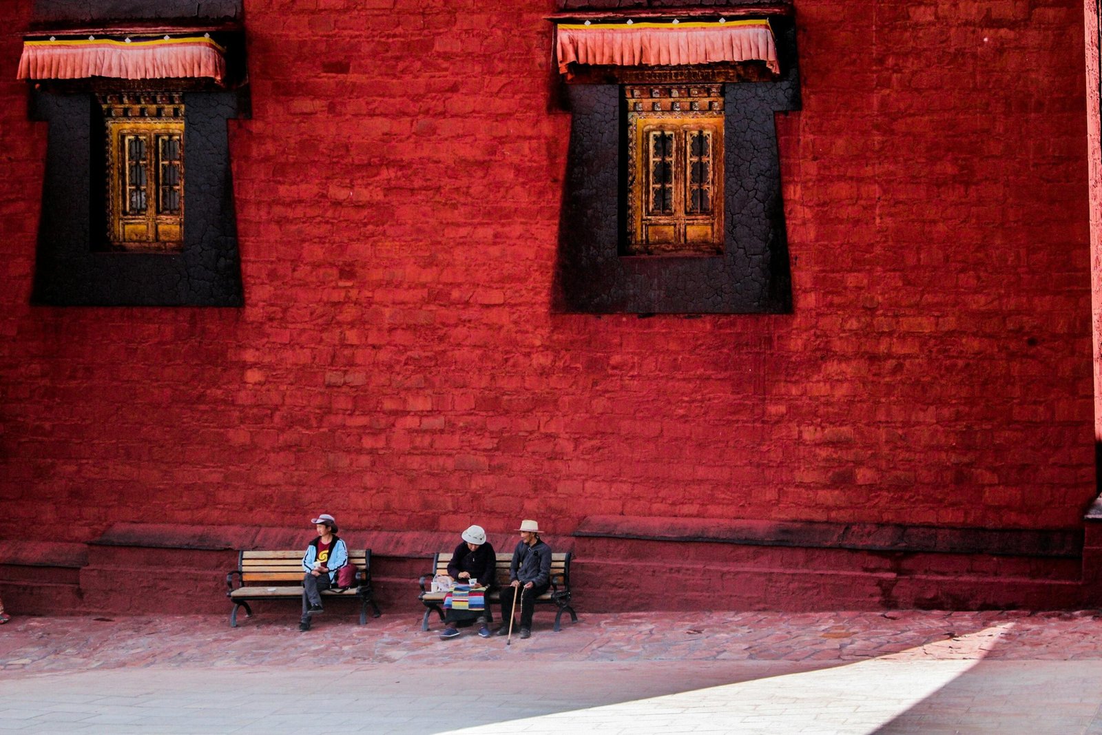 pexels-lan-yao-324969-6723803 (2)